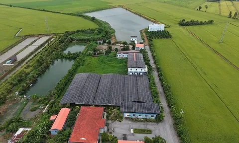 Kiên Giang: Nhà máy nước Nam Rạch Giá và những dấu hỏi trong quy hoạch, mua bán nước sạch